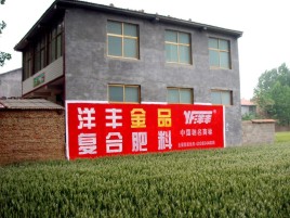 邵阳如何让墙体广告展现最大化效果