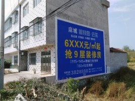 邵阳墙体广告质量分析