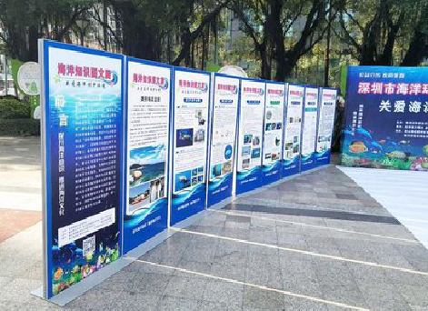 邵阳KT板的种类和知识。